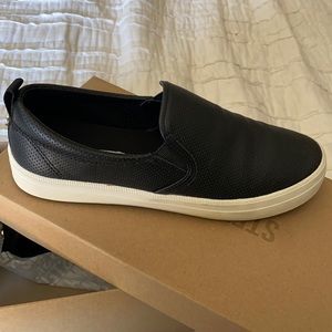 Brand new Steve Madden slip on‘s